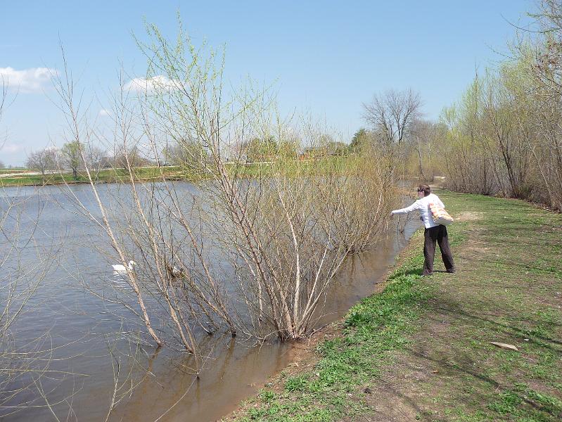 Annie feeding ducks.JPG